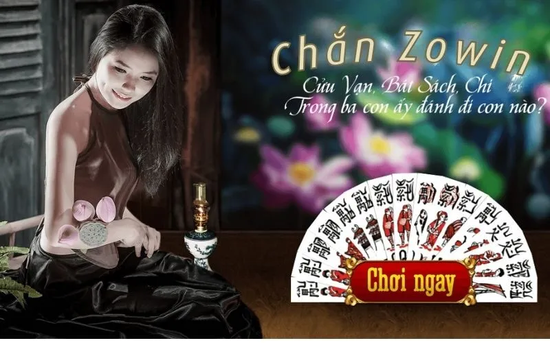 Giới thiệu chắn Zowin