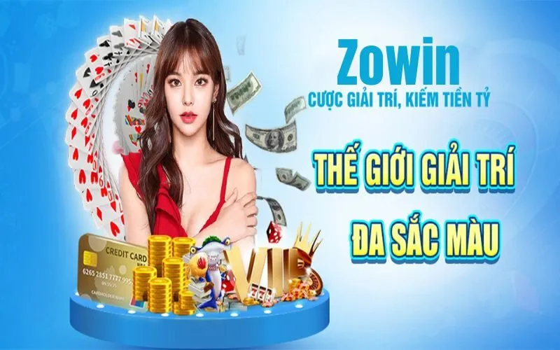 Giấy tờ hoạt động Zowin 